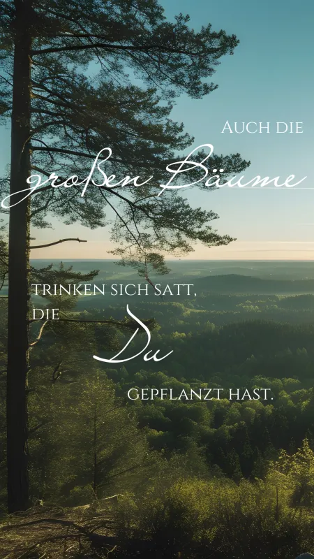 Psalm 104,16 Wald (Foto: Stefan Wagner) Psalm 104,16 Wald (Foto: Stefan Wagner)