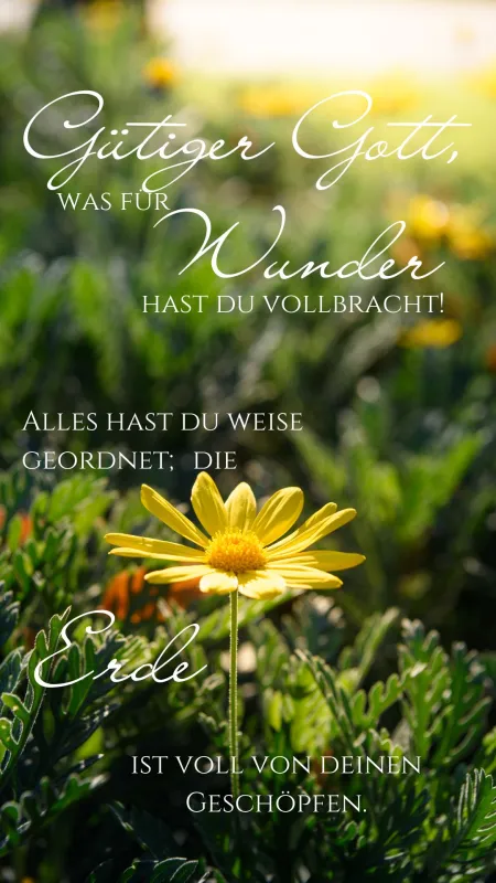 Psalm 104,10 Wald (Foto: Stefan Wagner) Psalm 104,10 Wald (Foto: Stefan Wagner)