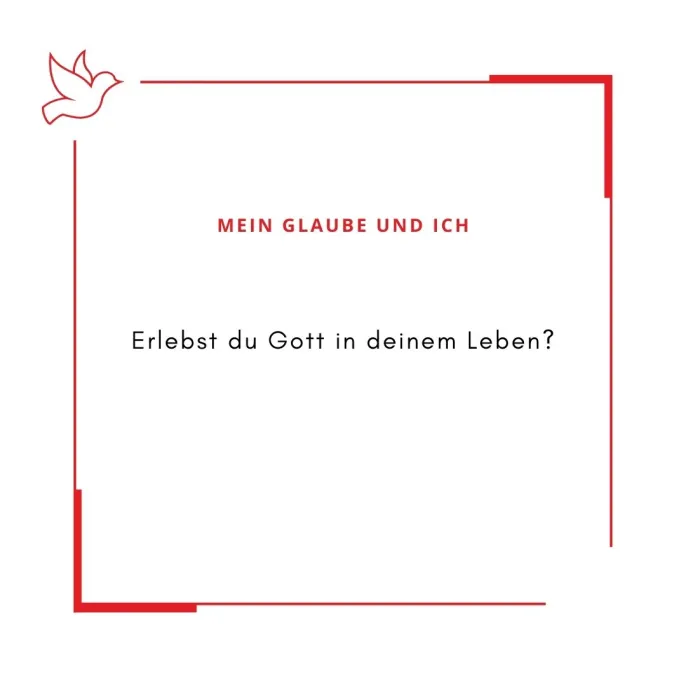 7.1 (Foto: Sekretariat Niederamt) 7.1 (Foto: Sekretariat Niederamt)