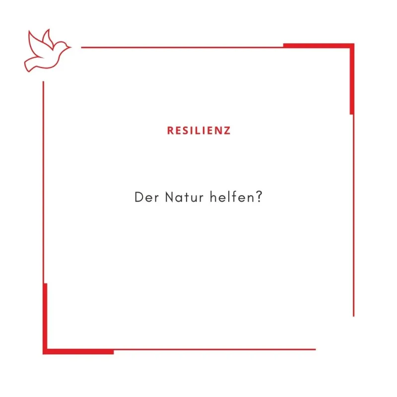 8.1 (Foto: Sekretariat Niederamt) 8.1 (Foto: Sekretariat Niederamt)
