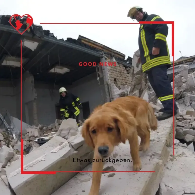 14 (Foto: Sekretariat Niederamt) 14 (Foto: Sekretariat Niederamt)